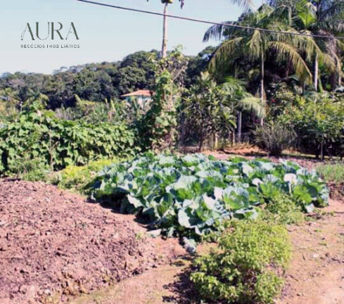 Imagem Chácara com 2 Quartos à Venda, 1 m² em Campeche - Itajaí