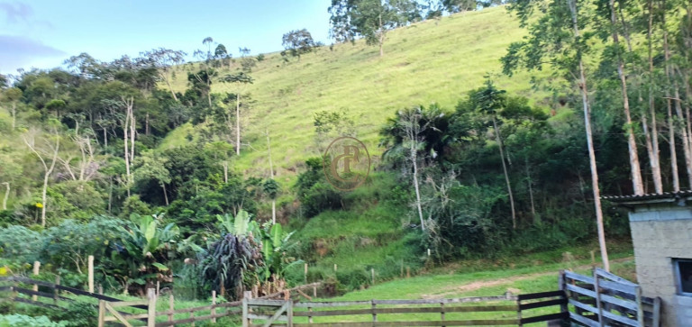 Imagem Fazenda à Venda, 400 m² em Pouso Altinho - Natividade Da Serra Imagem Fazenda à Venda, 400 m² em Pouso Altinho - Natividade Da Serra