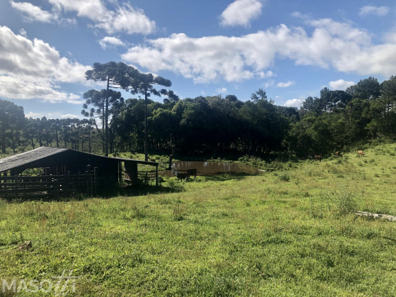 Imagem Chácara à Venda, 70.000 m² em Serra Grande Italiana - Gramado Imagem Chácara à Venda, 70.000 m² em Serra Grande Italiana - Gramado