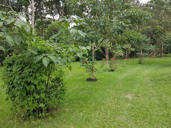 Imagem Terreno à Venda, 76.230 m² em São João Do Rio Vermelho - Florianópolis Imagem Terreno à Venda, 76.230 m² em São João Do Rio Vermelho - Florianópolis