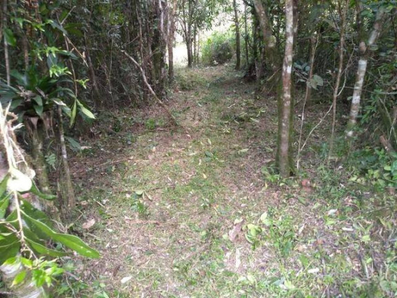 Imagem Fazenda à Venda, 7 m² em Centro - Barra Do Turvo Imagem Fazenda à Venda, 7 m² em Centro - Barra Do Turvo