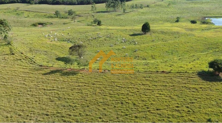 Imagem Fazenda à Venda, 290.400 m² em Vale San Fernando - Itapetininga Imagem Fazenda à Venda, 290.400 m² em Vale San Fernando - Itapetininga