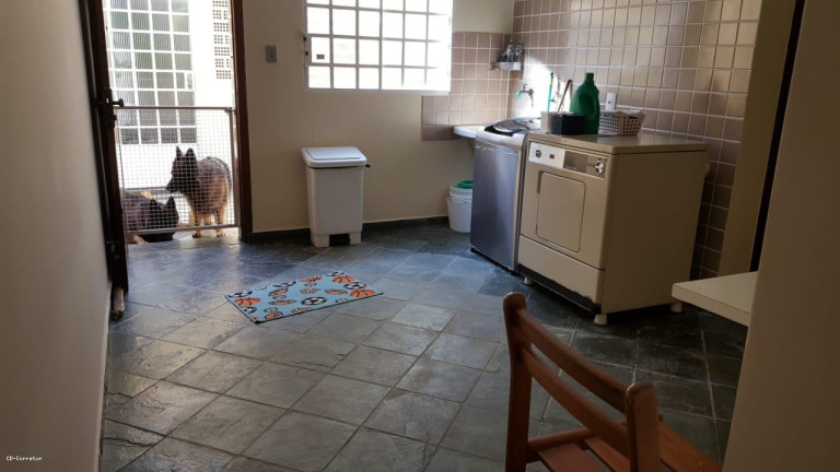 Imagem Sobrado com 3 Quartos à Venda, 125 m² em Vila Floresta - Santo André