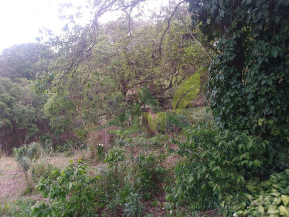 Imagem Chácara com 4 Quartos à Venda, 2.000 m² em Vila Mota - Bragança Paulista Imagem Chácara com 4 Quartos à Venda, 2.000 m² em Vila Mota - Bragança Paulista