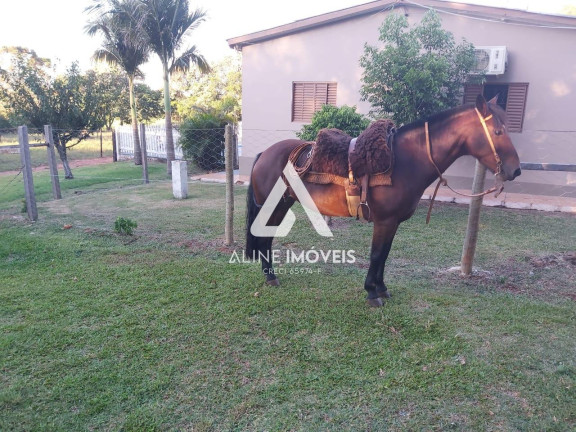 Fazenda à Venda, 1 m² em Interior - Cruz Alta