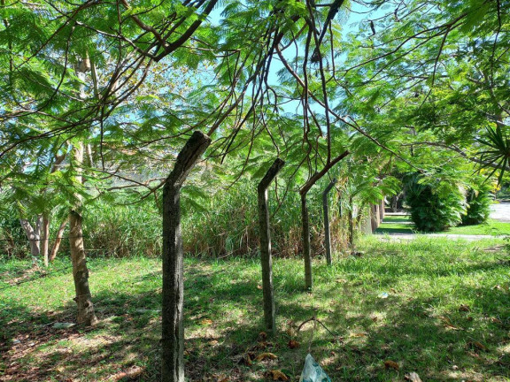 Imagem Terreno à Venda, 357 m² em Campo Belo - Niterói Imagem Terreno à Venda, 357 m² em Campo Belo - Niterói