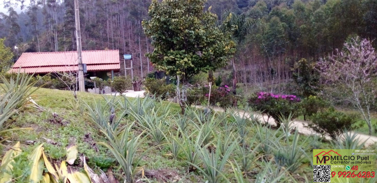 Imagem Imóvel com 3 Quartos à Venda, em Beija Flor - Major Gercino Sc Imagem Imóvel com 3 Quartos à Venda, em Beija Flor - Major Gercino Sc