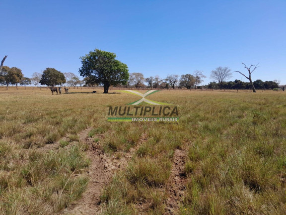 Imagem Fazenda à Venda, 266 m² em Santa Vitória Imagem Fazenda à Venda, 266 m² em Santa Vitória