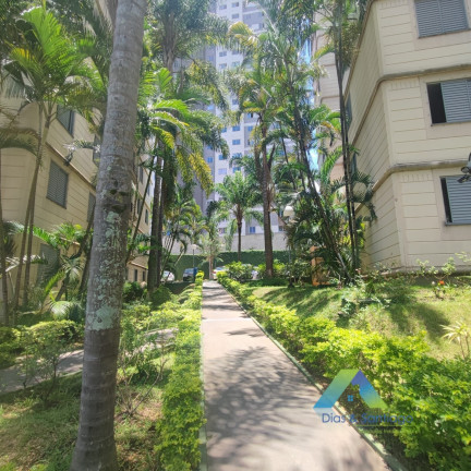 Imagem Apartamento com 3 Quartos à Venda, 61 m² em Jardim Santa Emília - São Paulo Imagem Apartamento com 3 Quartos à Venda, 61 m² em Jardim Santa Emília - São Paulo