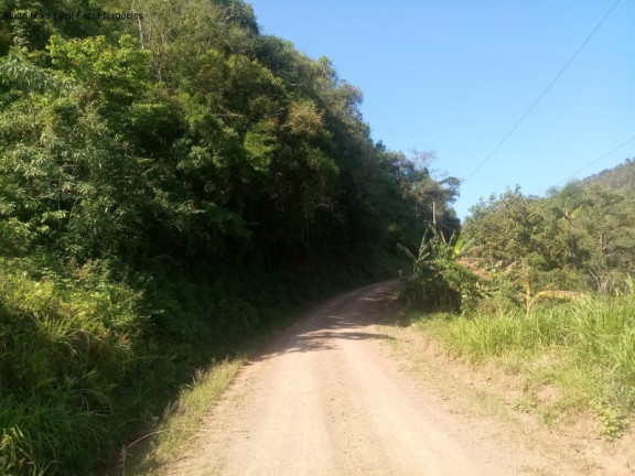 Imagem Terreno à Venda, 7.000 m² em Linha Temerária - Nova Petrópolis