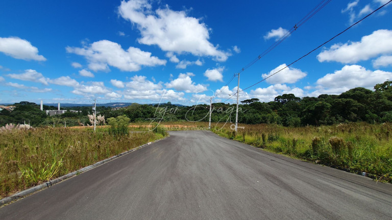 Terreno à Venda, 180 m² em Bom Jesus - Campo Largo