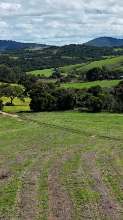 Imóvel à Venda,  em Zona Rural - Careaçu