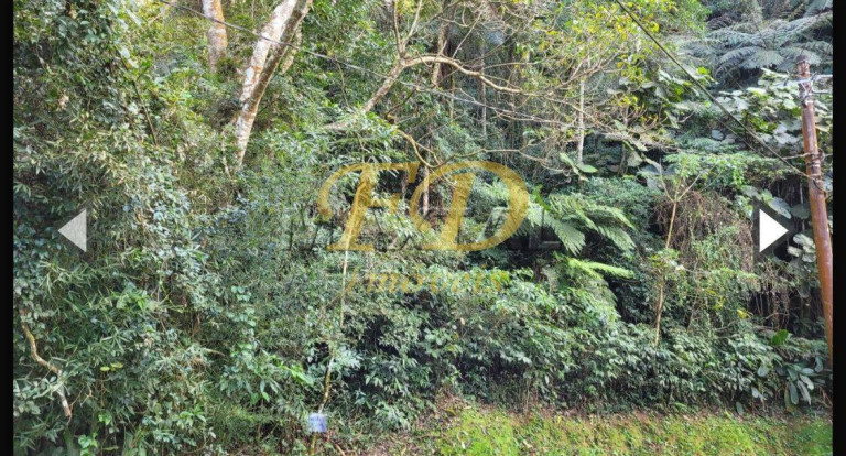Terreno em Condomínio à Venda, 3.100 m² em Santa Inês - Mairiporã