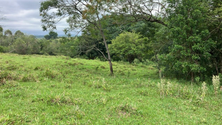 Imagem Imóvel à Venda, 60.500 m² em área Rural De Fernão - Fernão