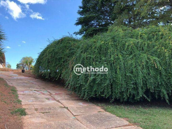 Imagem Chácara com 6 Quartos para Alugar, 220 m² em Chácaras São Martinho - Campinas Imagem Chácara com 6 Quartos para Alugar, 220 m² em Chácaras São Martinho - Campinas