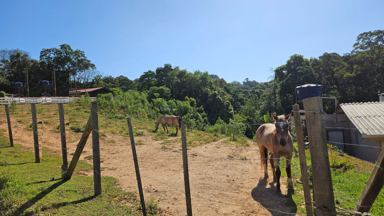 Fazenda à Venda,  em Zona Rural - Contenda