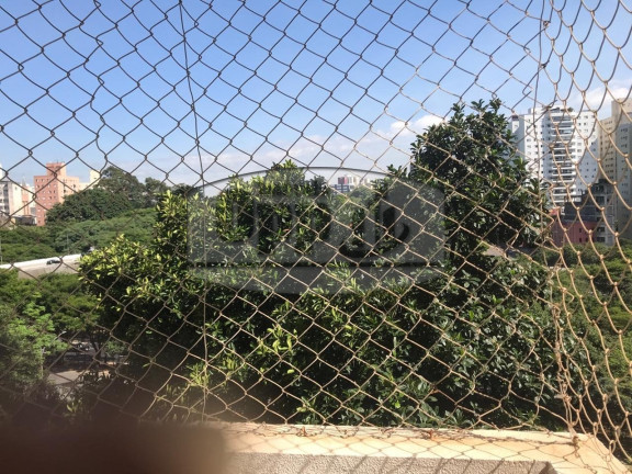 Imagem Apartamento com 3 Quartos à Venda, em V. Guarani - São Paulo Imagem Apartamento com 3 Quartos à Venda, em V. Guarani - São Paulo