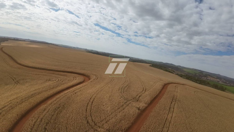 Imagem Fazenda à Venda,  em Zona Rural - Ibema