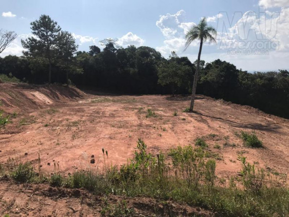 Imagem Terreno à Venda,  em Lomba Grande - Novo Hamburgo