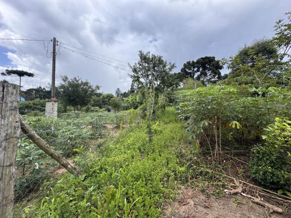 Imagem Imóvel à Venda, 5.500 m² em Rio Da Várzea - Quitandinha Imagem Imóvel à Venda, 5.500 m² em Rio Da Várzea - Quitandinha