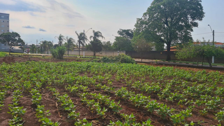 Imagem Terreno à Venda, em Recanto Das Primaveras I - Boituva Imagem Terreno à Venda, em Recanto Das Primaveras I - Boituva