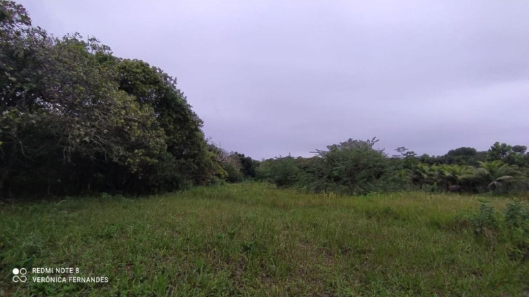 Imagem Terreno à Venda, 5.000 m² em Aldeia Dos Camarás - Camaragibe Imagem Terreno à Venda, 5.000 m² em Aldeia Dos Camarás - Camaragibe