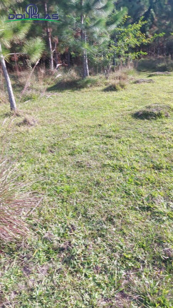 Imagem Imóvel Comercial à Venda, 4 m² em Viamão Imagem Imóvel Comercial à Venda, 4 m² em Viamão