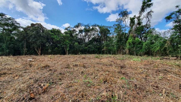 Imagem Terreno em Condomínio à Venda, 3.203 m² em Parque Primavera - Carapicuíba Imagem Terreno em Condomínio à Venda, 3.203 m² em Parque Primavera - Carapicuíba