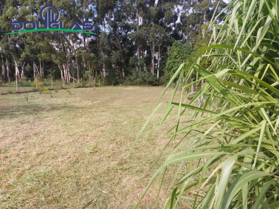 Terreno à Venda, 700 m² em Viamão