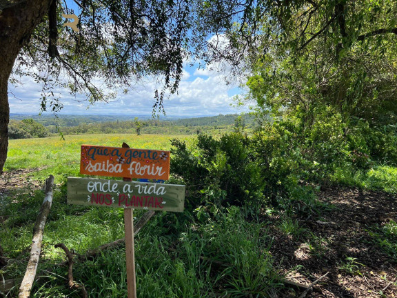 Chácara à Venda, 5.000 m² em Fiuza - Viamão