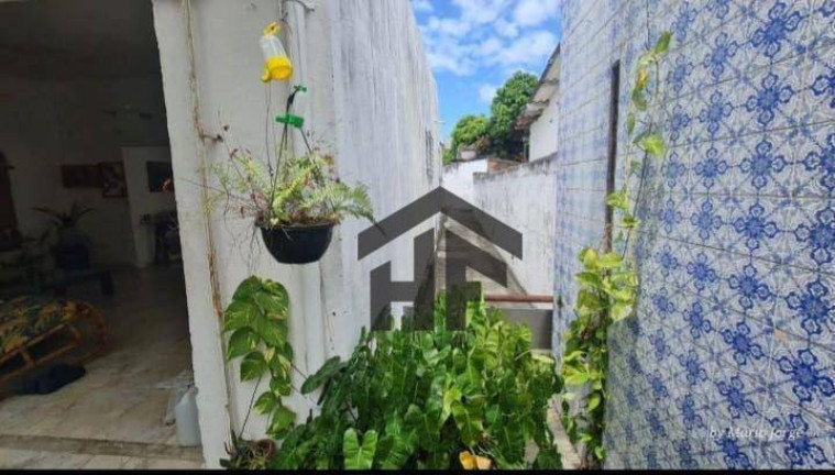 Imagem Casa com 3 Quartos à Venda, 427 m² em Hipódromo - Recife