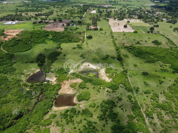Imagem Fazenda à Venda, 300.000 m² em Lagoa Do Mato - Monte Alegre Imagem Fazenda à Venda, 300.000 m² em Lagoa Do Mato - Monte Alegre
