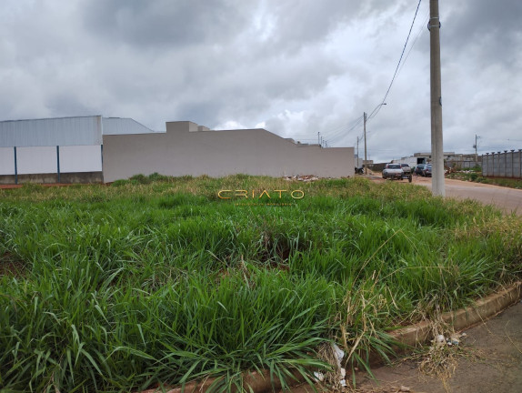 Terreno à Venda, 381 m² em Residencial Vida Nova - Anápolis