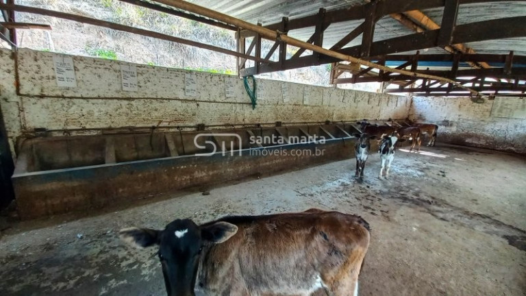 Imagem Imóvel com 3 Quartos à Venda, 1 m² em Bairro Calunga/peitudo - Silveiras