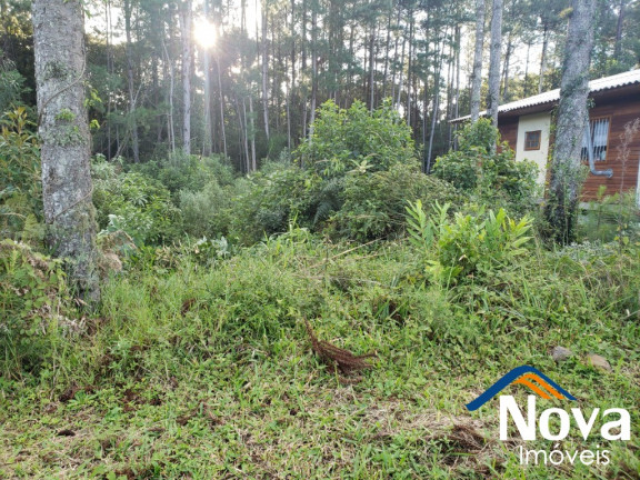 Imagem Imóvel à Venda, 396 m² em Vila Germânia - Nova Petrópolis Imagem Imóvel à Venda, 396 m² em Vila Germânia - Nova Petrópolis