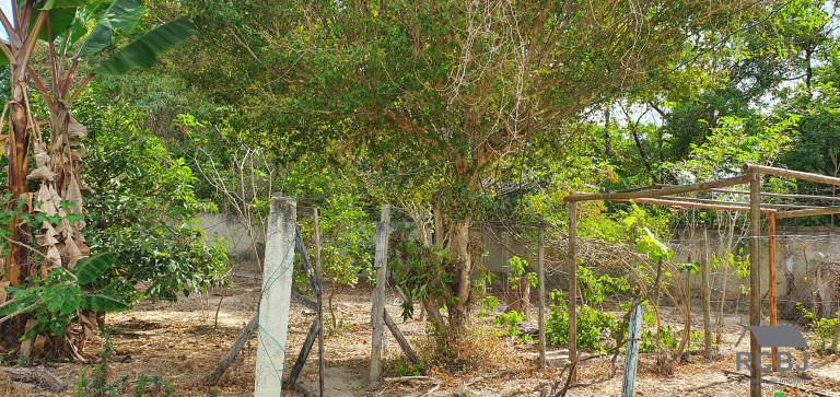 Imagem Imóvel com 3 Quartos à Venda,  em Tropeiros - Esmeraldas