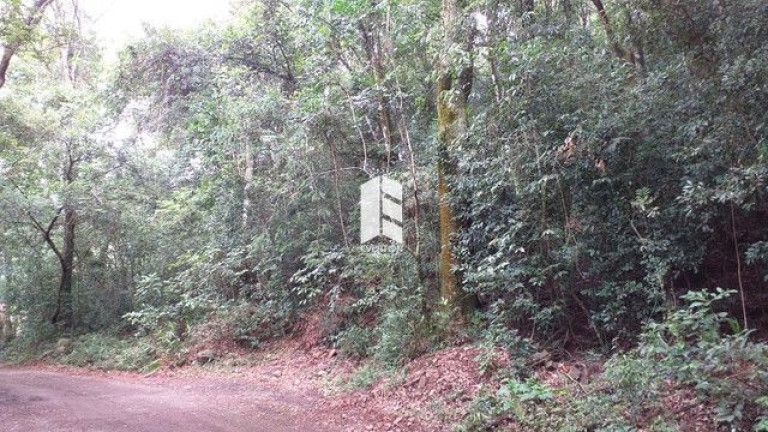 Imagem Imóvel à Venda, 28.000 m² em Campestre Do Menino Deus - Santa Maria Imagem Imóvel à Venda, 28.000 m² em Campestre Do Menino Deus - Santa Maria