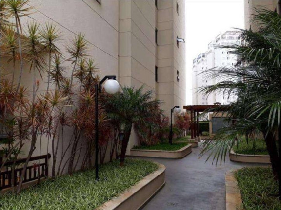 Imagem Apartamento com 3 Quartos à Venda, 65 m² em Baeta Neves - São Bernardo Do Campo Imagem Apartamento com 3 Quartos à Venda, 65 m² em Baeta Neves - São Bernardo Do Campo
