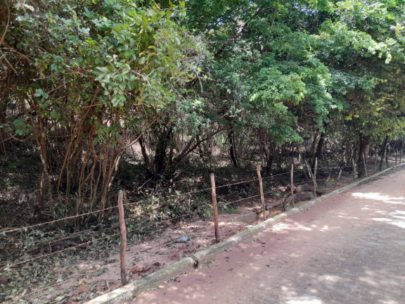 Imagem Terreno à Venda, 3.374 m² em Imediações Do Anel Viário De Pipa - Tibau Do Sul Imagem Terreno à Venda, 3.374 m² em Imediações Do Anel Viário De Pipa - Tibau Do Sul