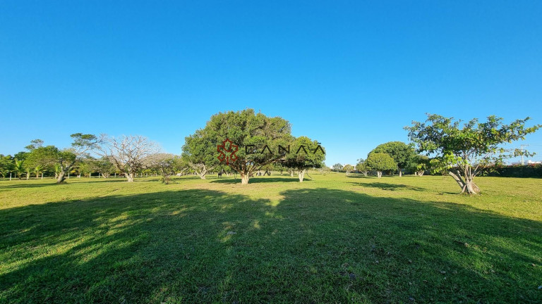 Imagem Imóvel com 2 Quartos à Venda, 130.000 m² em Dunas Do Peró - Armação Dos Búzios
