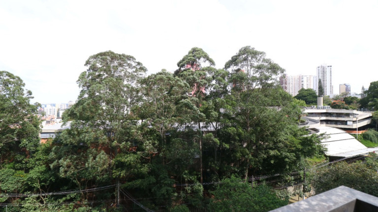 Imagem Apartamento com 4 Quartos à Venda, 271 m² em Vila Suzana - São Paulo Imagem Apartamento com 4 Quartos à Venda, 271 m² em Vila Suzana - São Paulo