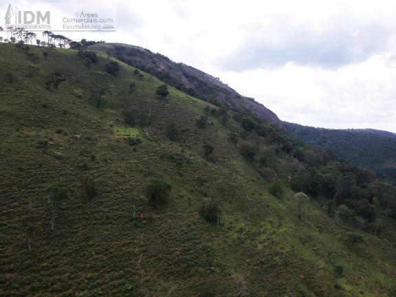 Imagem Chácara à Venda, 600.000 m² em Centro - Gonçalves Imagem Chácara à Venda, 600.000 m² em Centro - Gonçalves