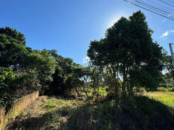 Imagem Terreno à Venda, em Pontal Do Norte - Itapoá Imagem Terreno à Venda, em Pontal Do Norte - Itapoá