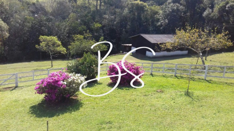 Imagem Imóvel com 2 Quartos à Venda, 40.000 m² em Estrada Fazenda Fialho - Taquara