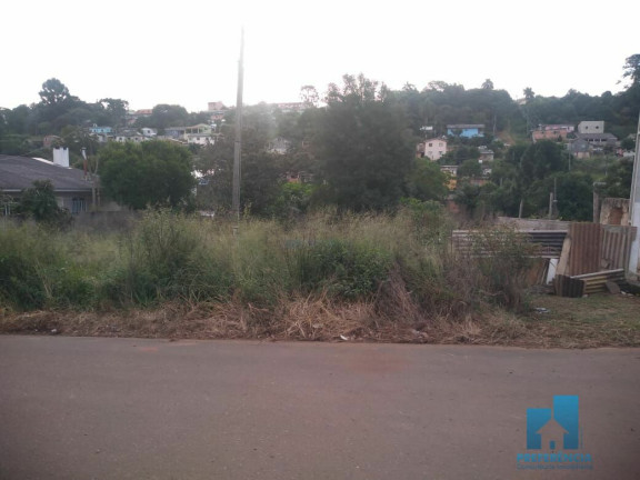 Terreno à Venda, 495 m² em Estrela - Ponta Grossa