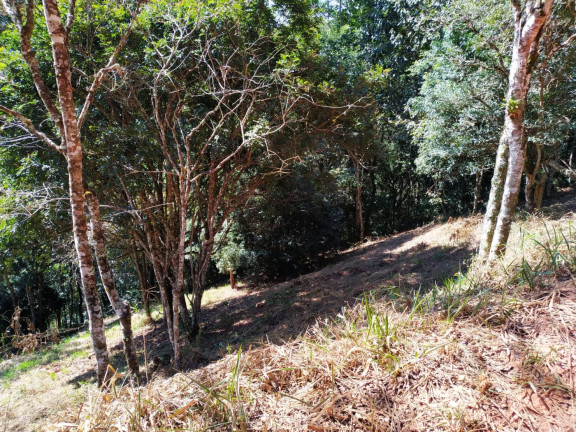Imagem Terreno à Venda, 1.500 m² em Centro - Santo Antônio Do Pinhal Imagem Terreno à Venda, 1.500 m² em Centro - Santo Antônio Do Pinhal