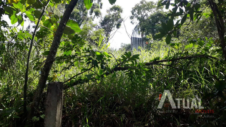 Imagem Terreno à Venda, 360 m² em Jardim Paulista - Atibaia Imagem Terreno à Venda, 360 m² em Jardim Paulista - Atibaia