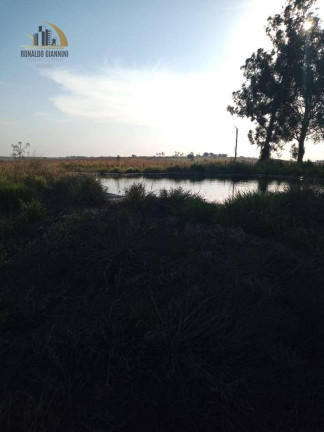 Imagem Fazenda à Venda, 15.294.400 m² em Centro - Assis Imagem Fazenda à Venda, 15.294.400 m² em Centro - Assis