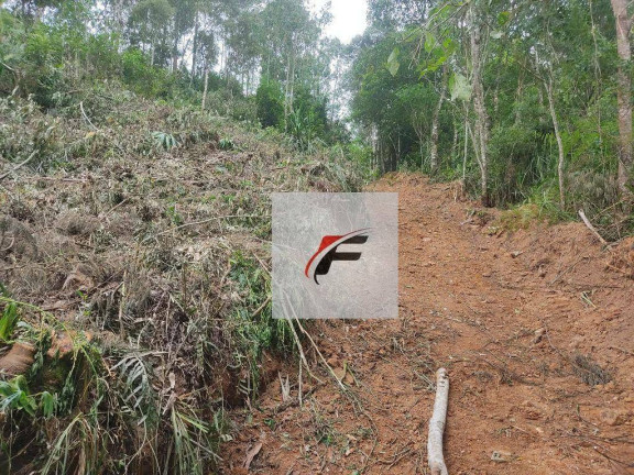 Imagem Chácara com 1 Quarto à Venda, 25.244 m² em Bacaetava - Colombo