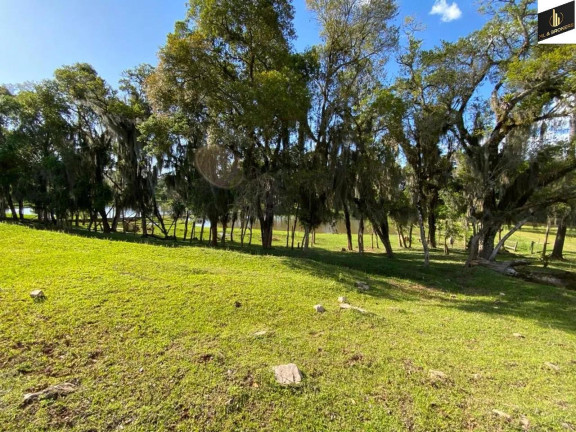 Imagem Imóvel com 2 Quartos à Venda, 29.328 m² em Catanduvas Do Sul - Contenda